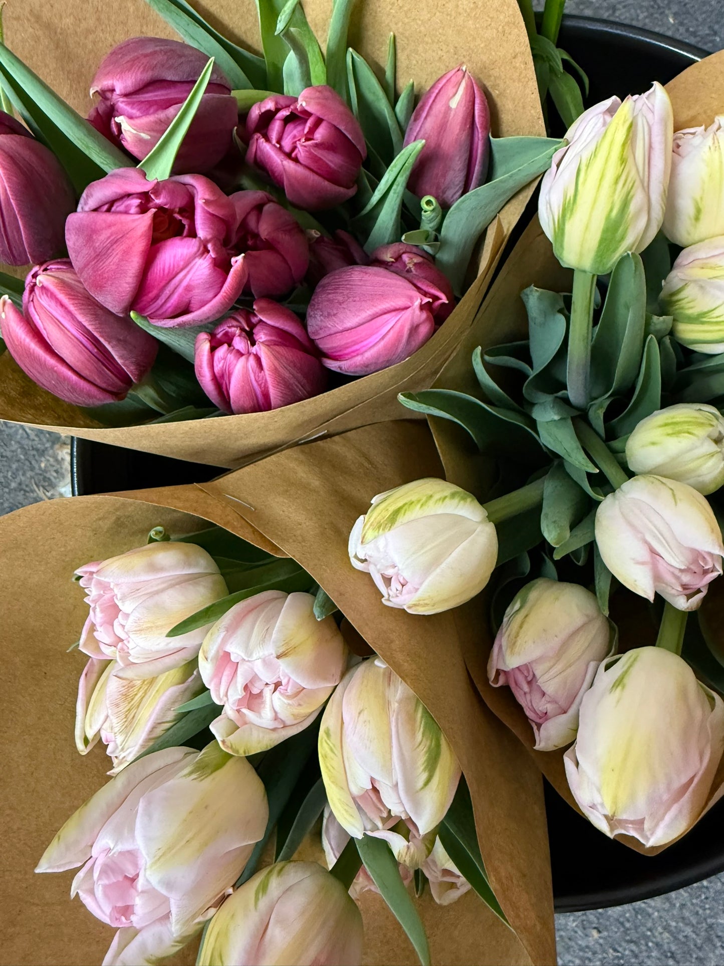 CSA Tulip Weekly Flower Subscription & Delivery