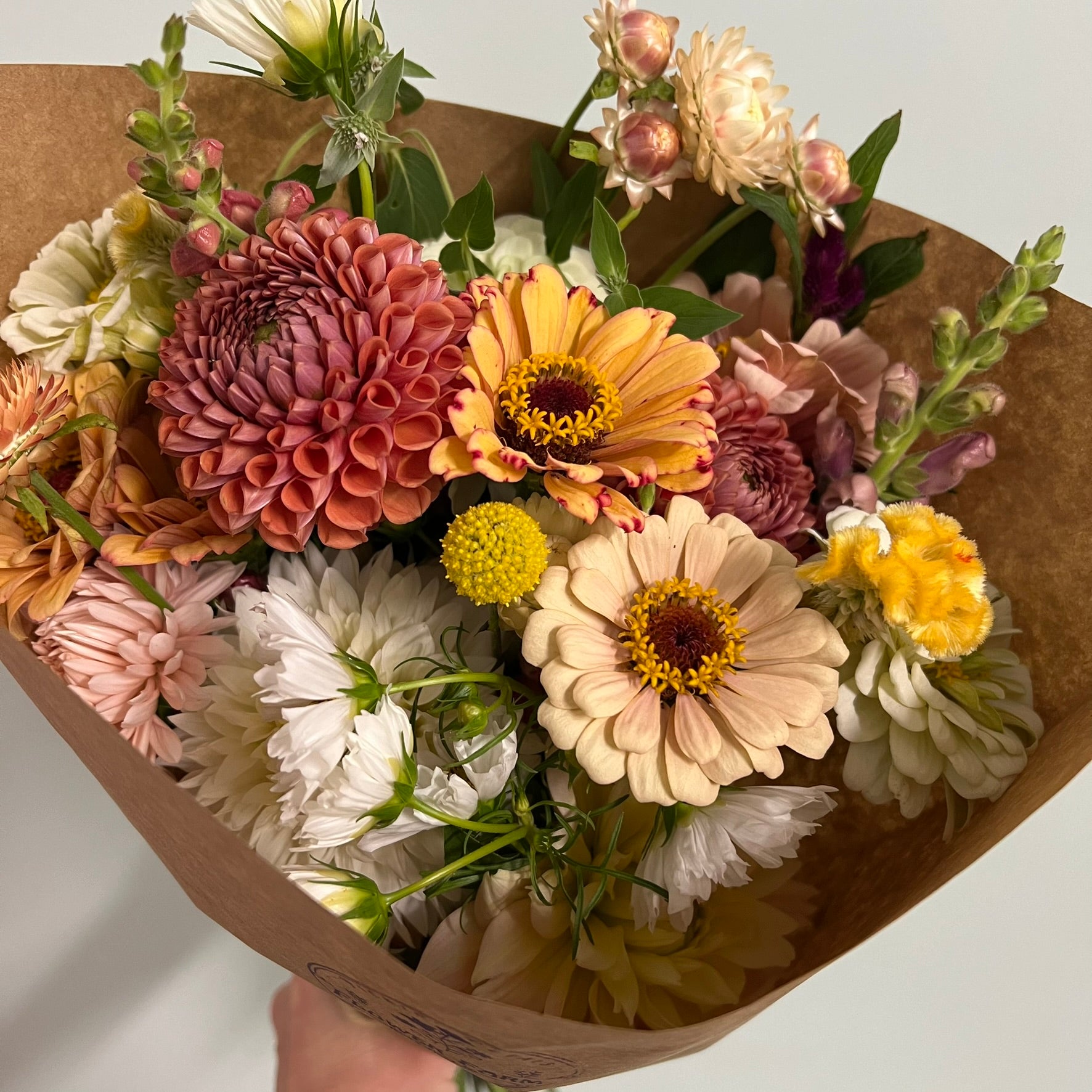 monthly flower seed subscription 2026 Monthly Flower Subscription