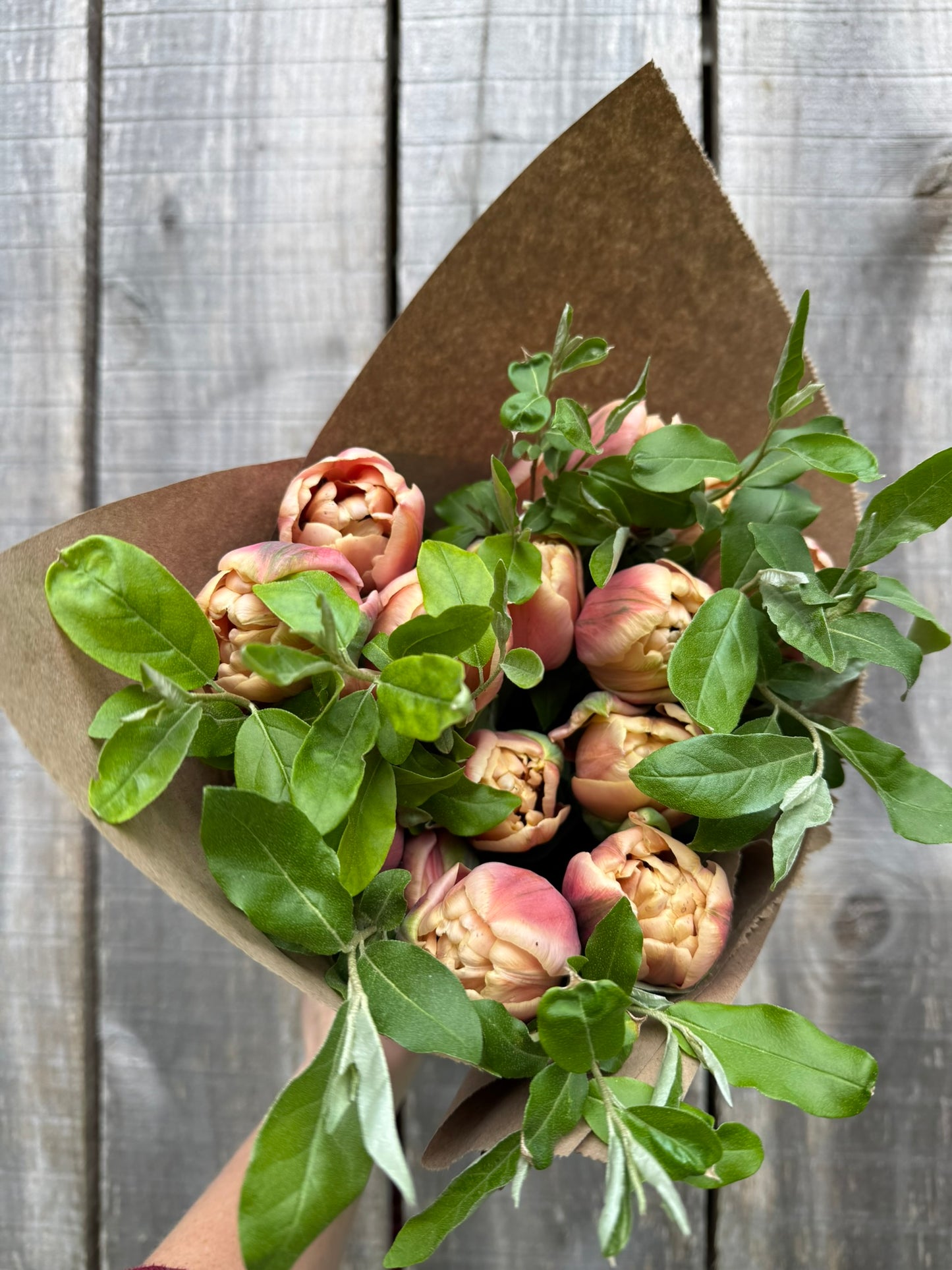 2026 Tulip Weekly Flower Subscription & Delivery