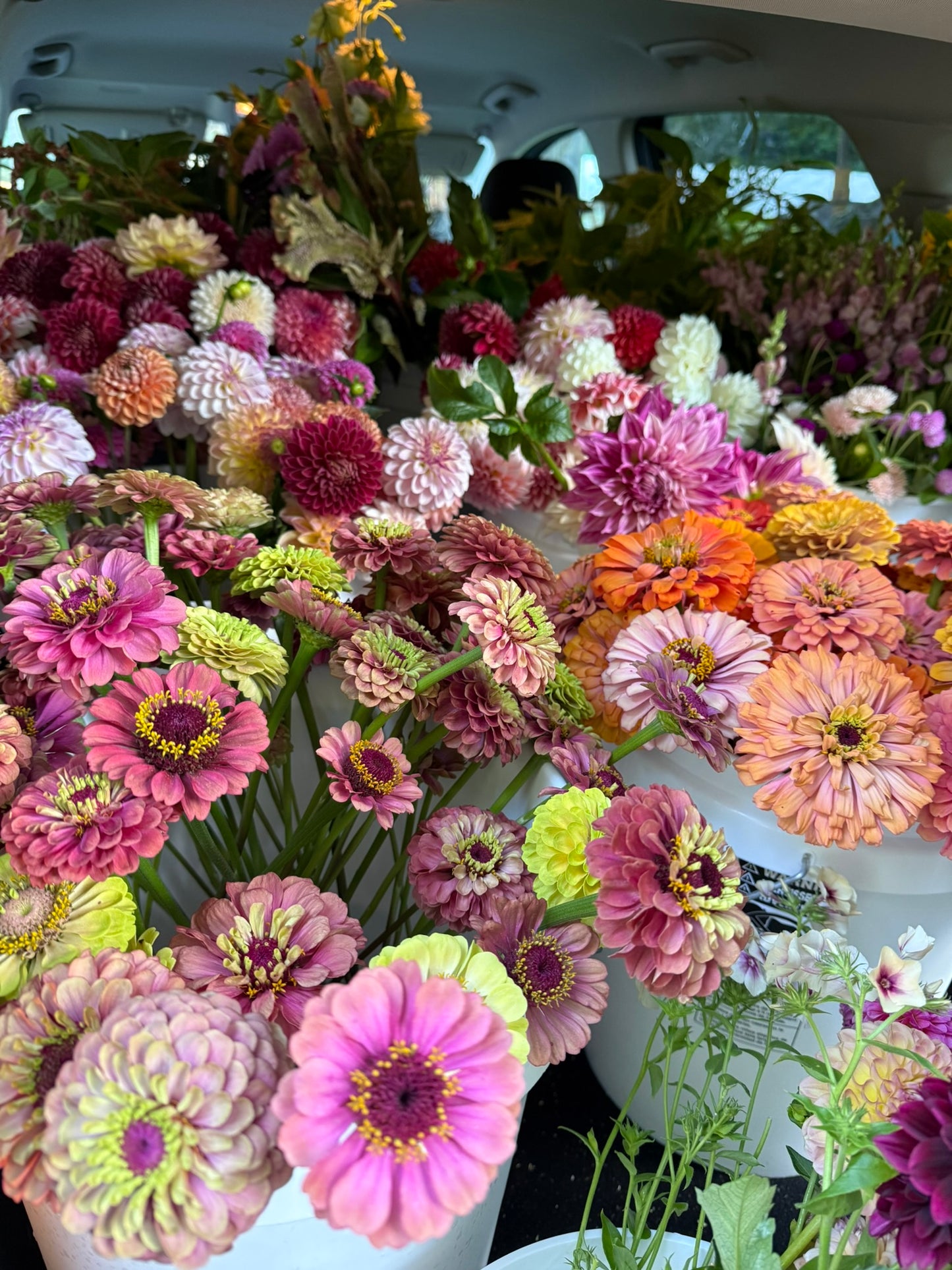 Bucket of Blooms - Focal Flowers DIY, Event, Wedding, Etc. (Grower's Choice)