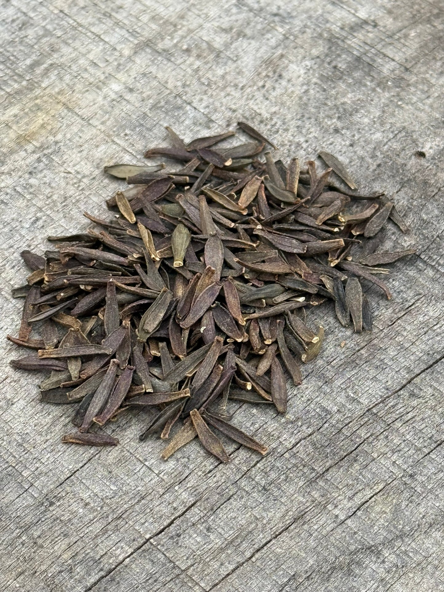 Dahlia Seeds Specialty Mix 25 Seeds