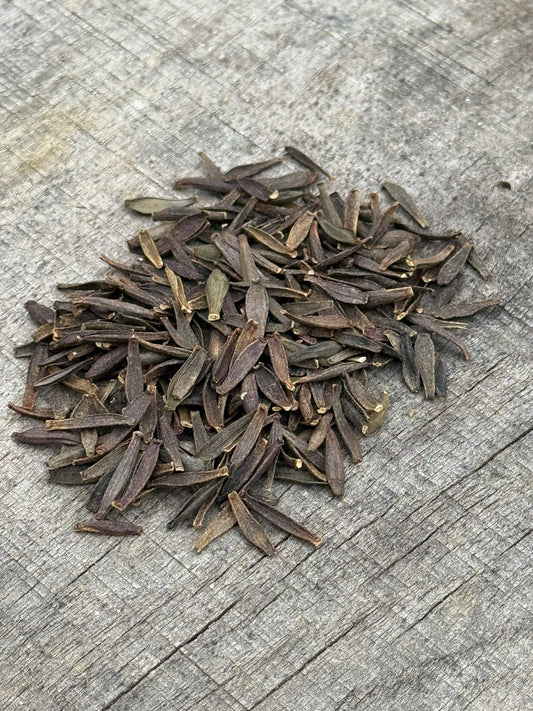 Dahlia Seeds Specialty Mix 25 Seeds