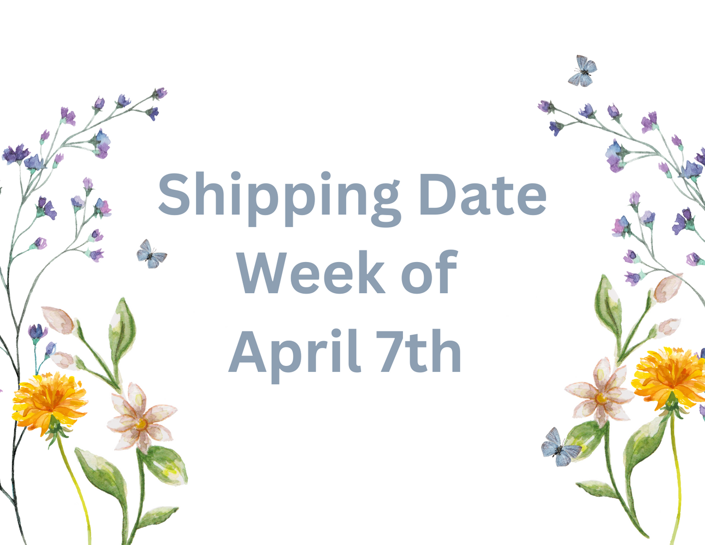 Week of April 7th Shipping Date